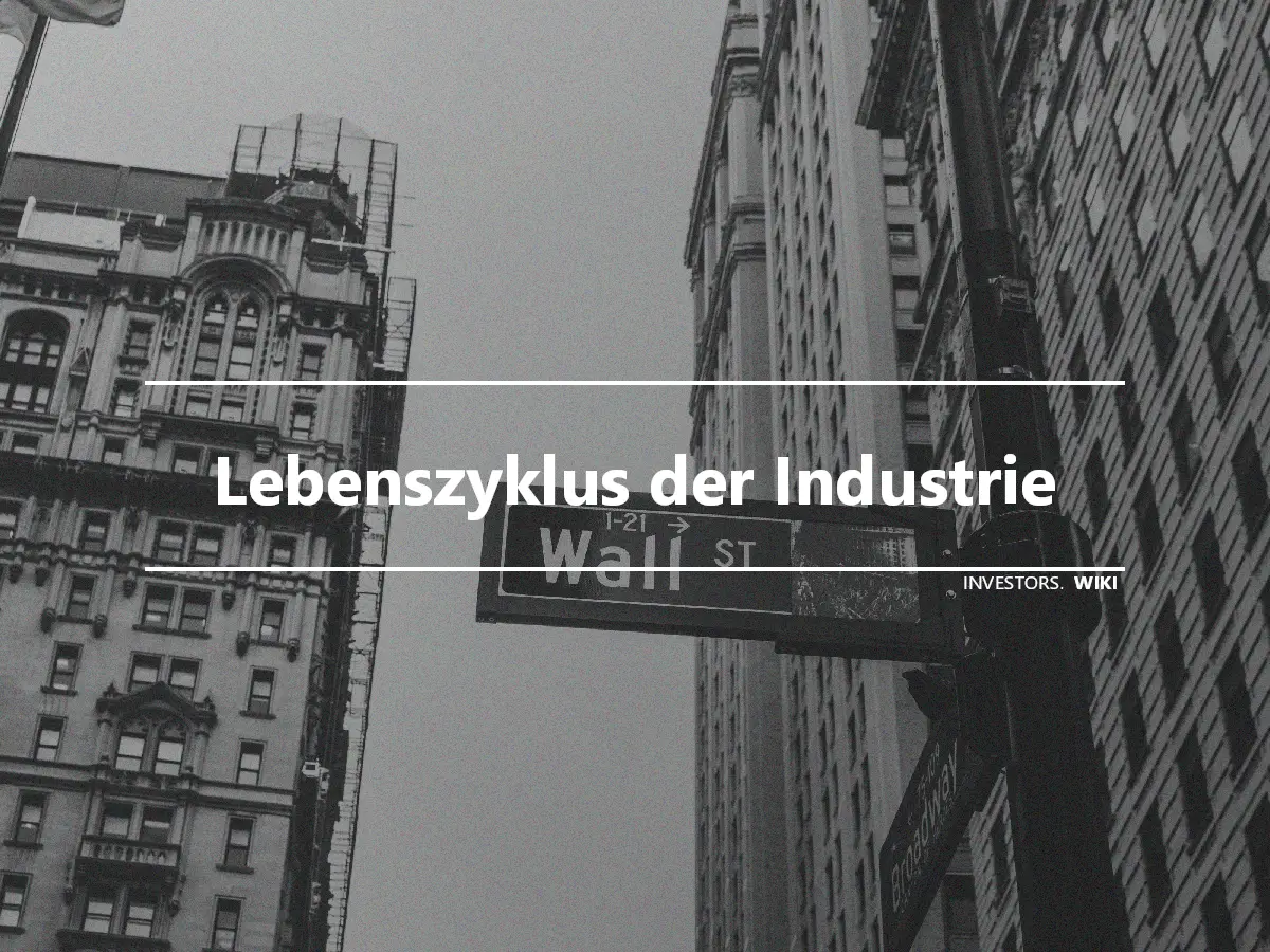 Lebenszyklus der Industrie