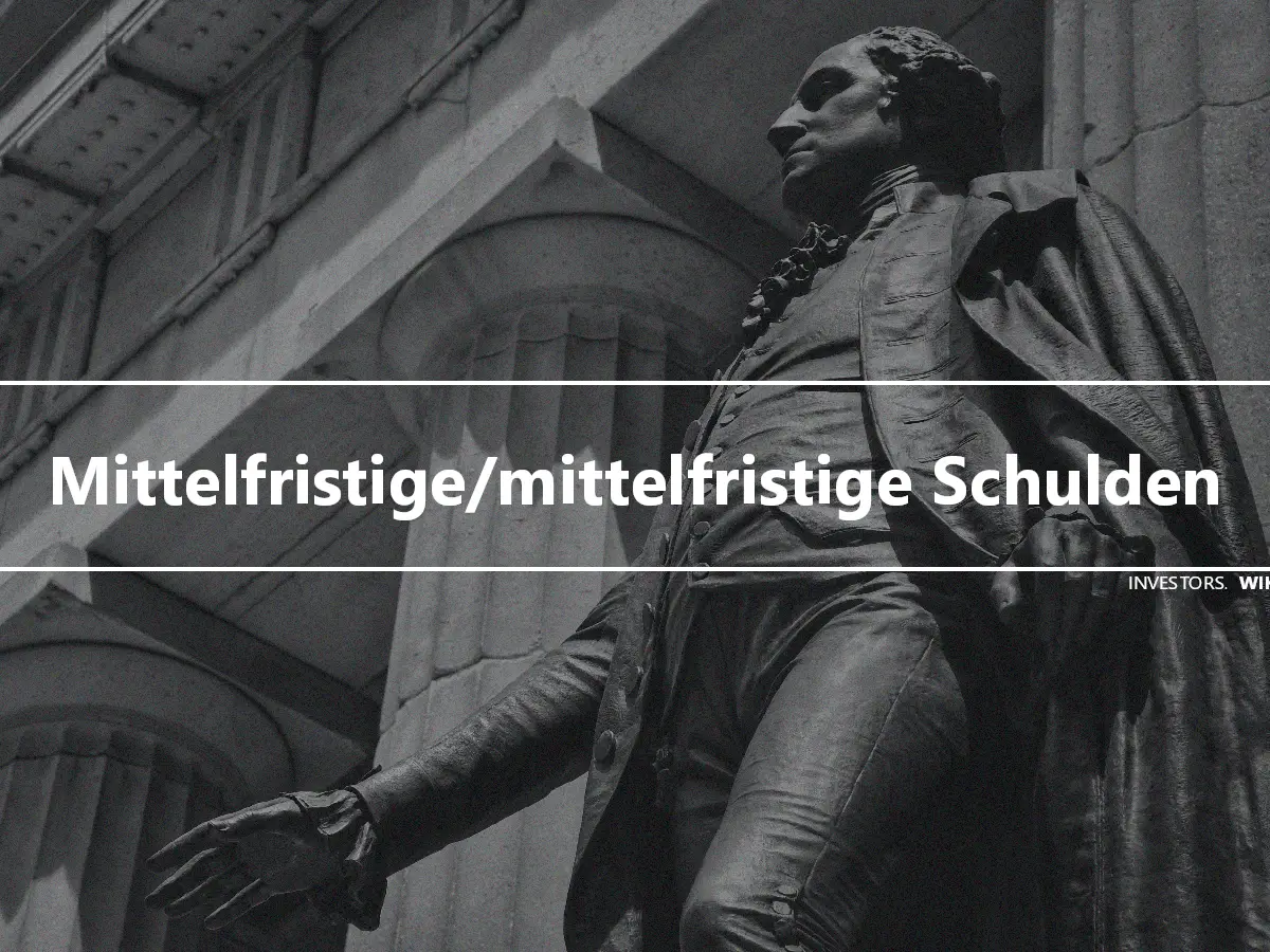 Mittelfristige/mittelfristige Schulden