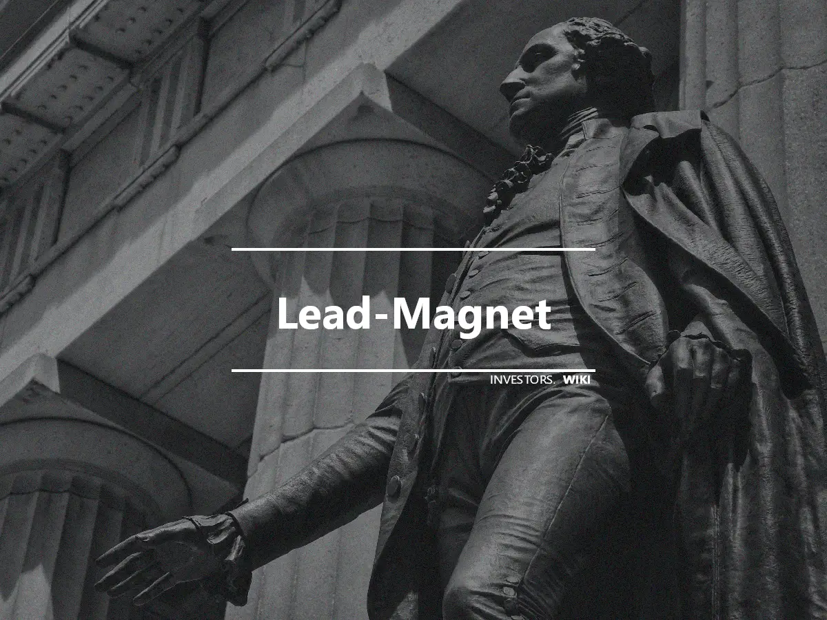 Lead-Magnet