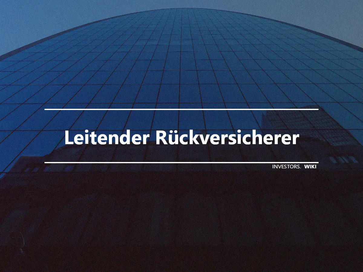 Leitender Rückversicherer