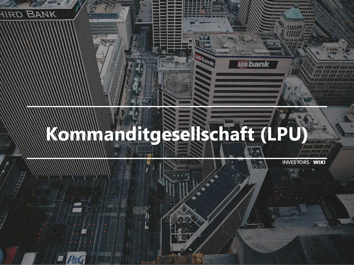 Kommanditgesellschaft (LPU)