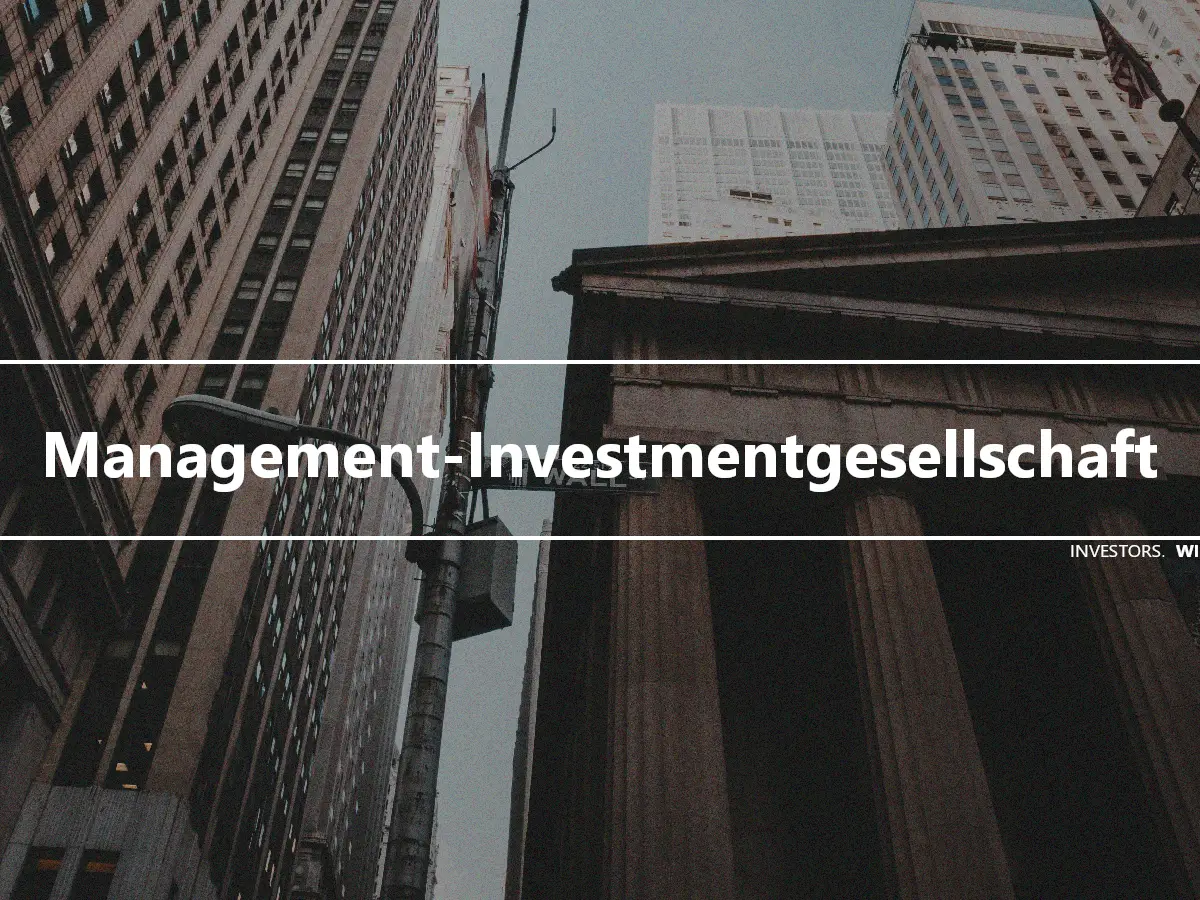Management-Investmentgesellschaft