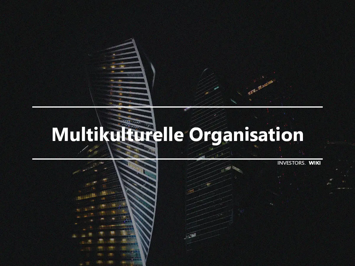 Multikulturelle Organisation