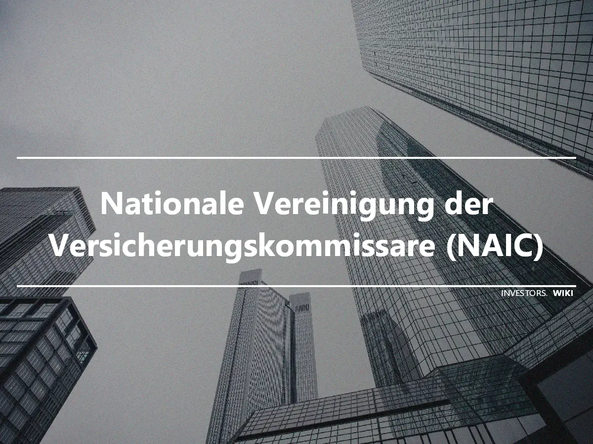 Nationale Vereinigung der Versicherungskommissare (NAIC)