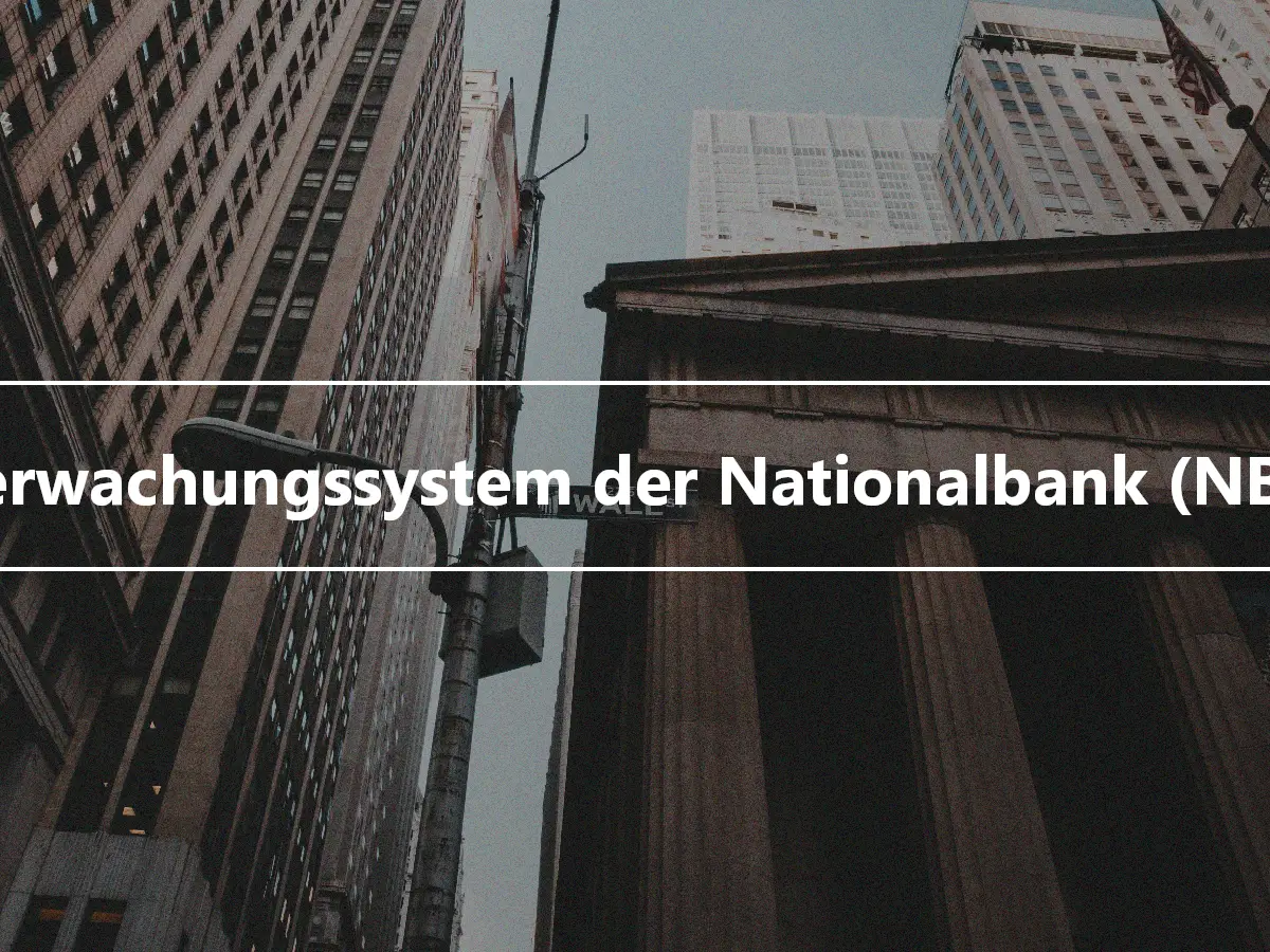 Überwachungssystem der Nationalbank (NBSS)