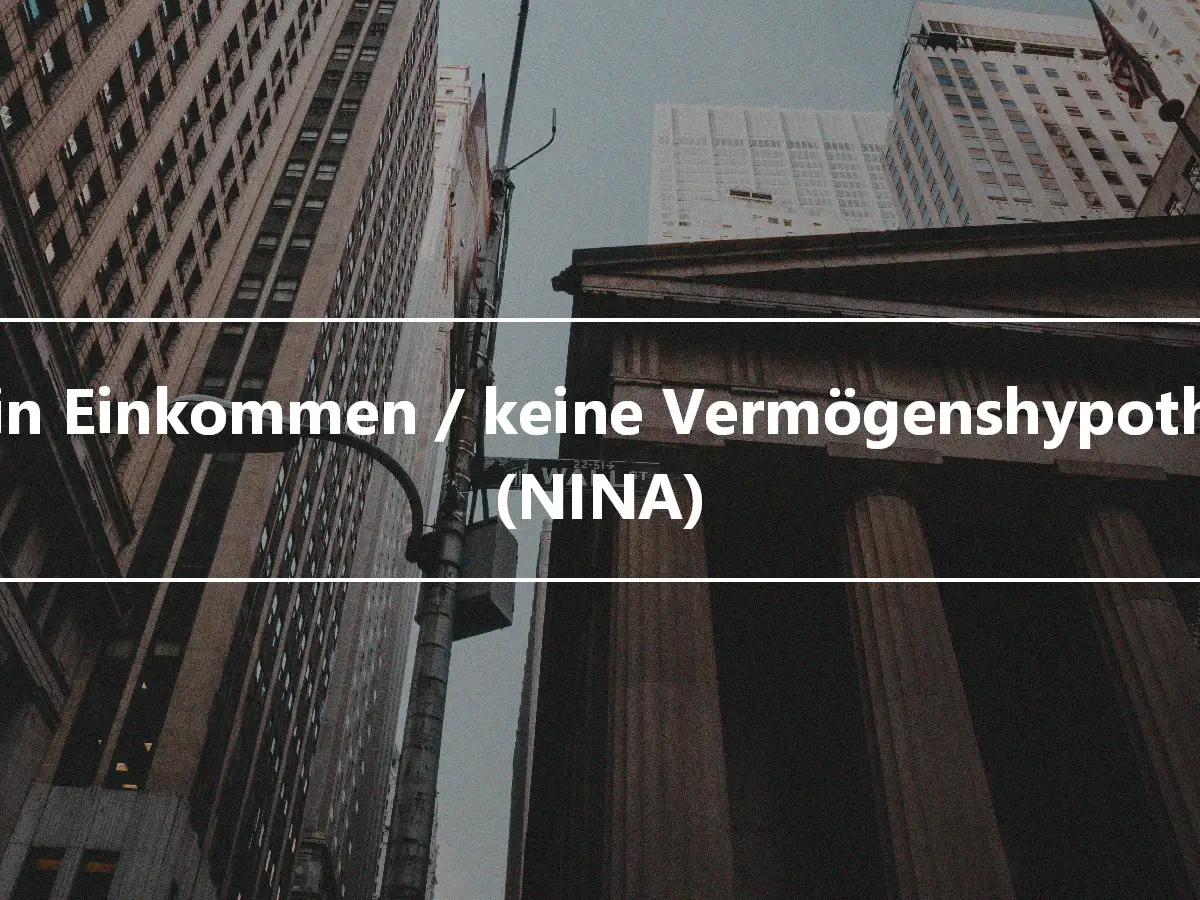 Kein Einkommen / keine Vermögenshypothek (NINA)