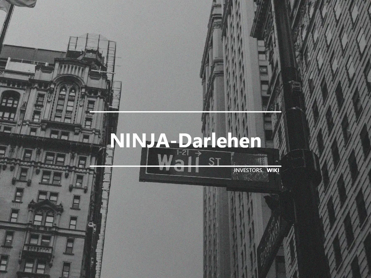 NINJA-Darlehen