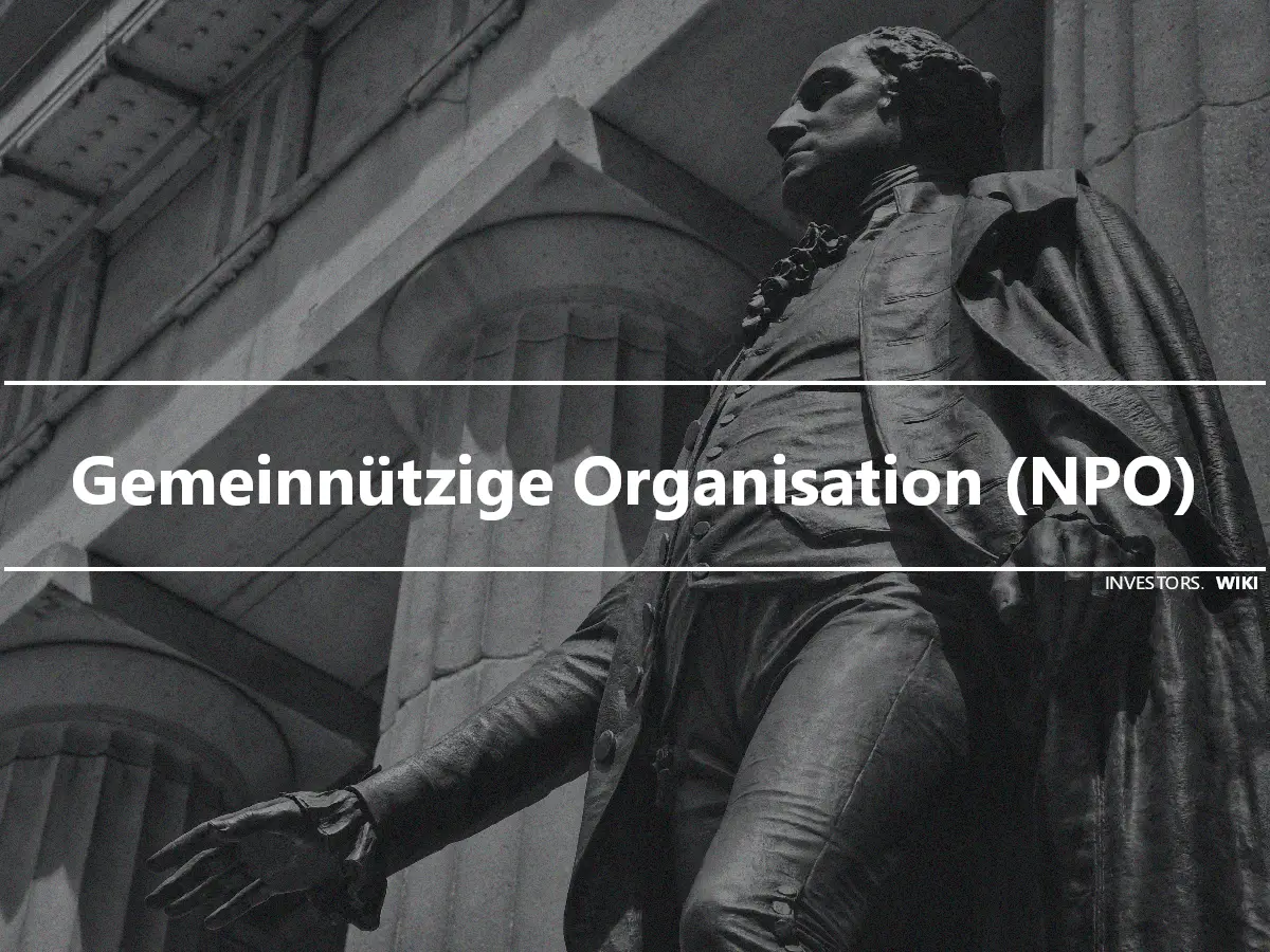 Gemeinnützige Organisation (NPO)