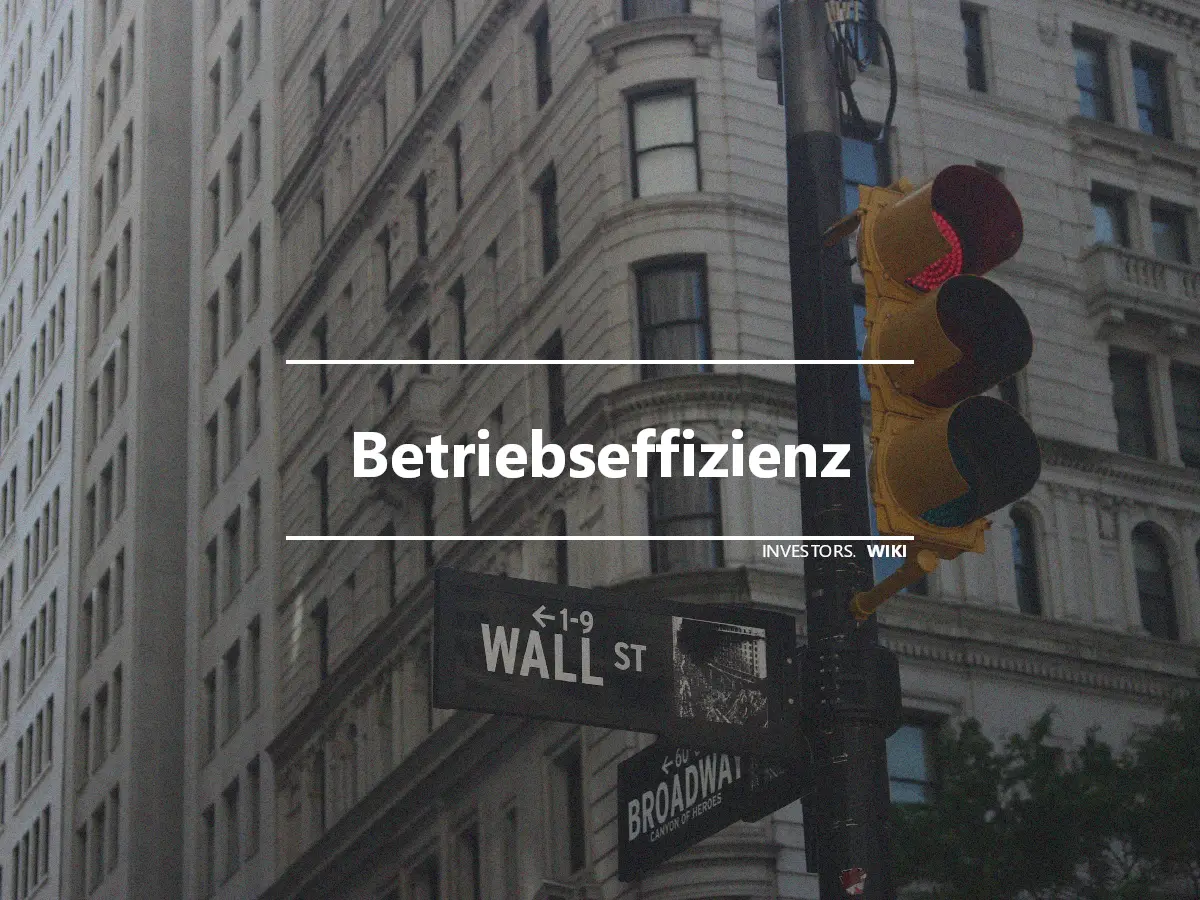 Betriebseffizienz