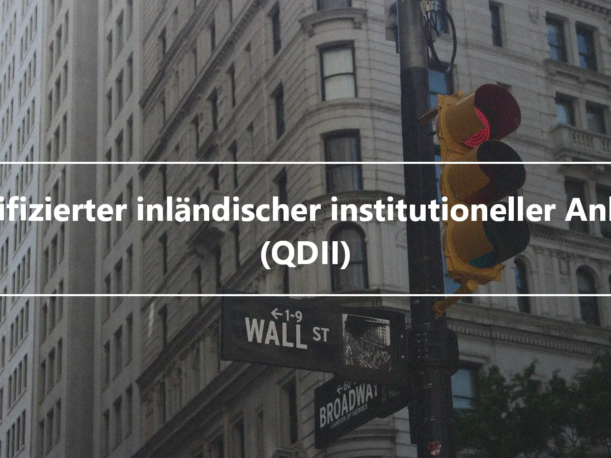 Qualifizierter inländischer institutioneller Anleger (QDII)