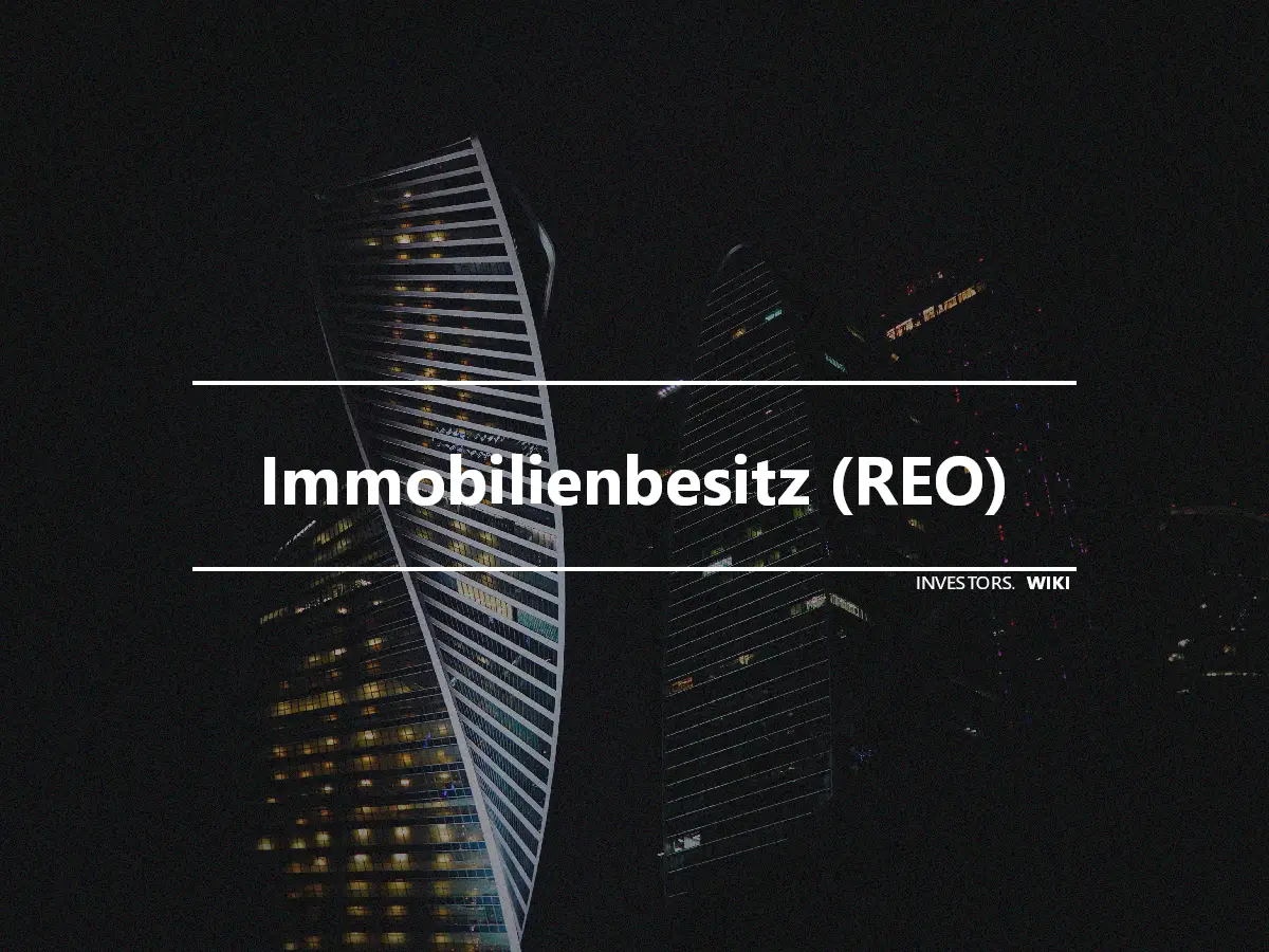 Immobilienbesitz (REO)