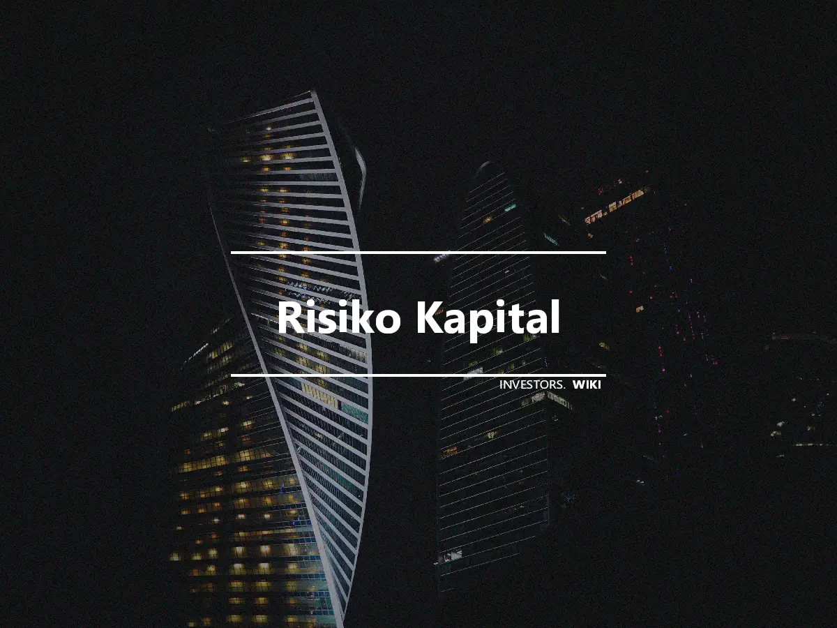 Risiko Kapital