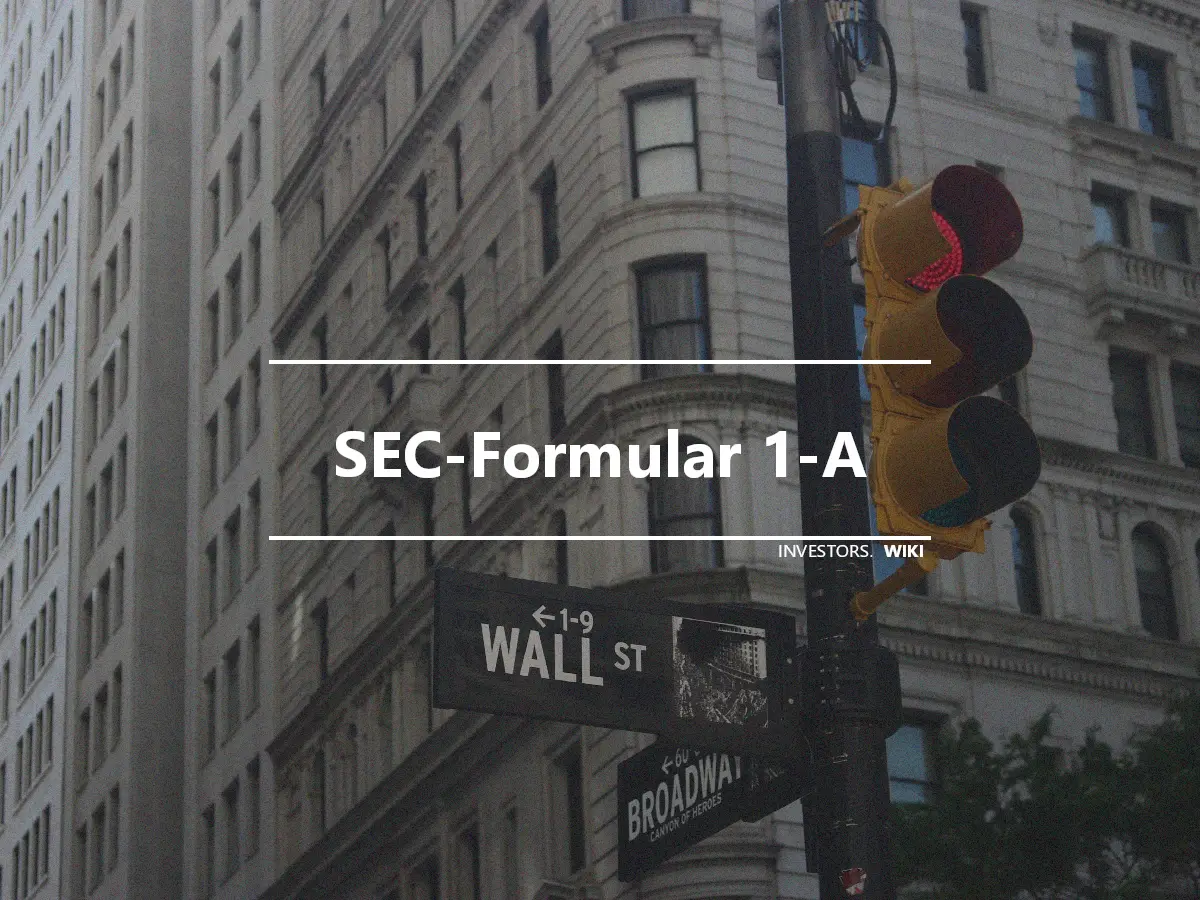SEC-Formular 1-A