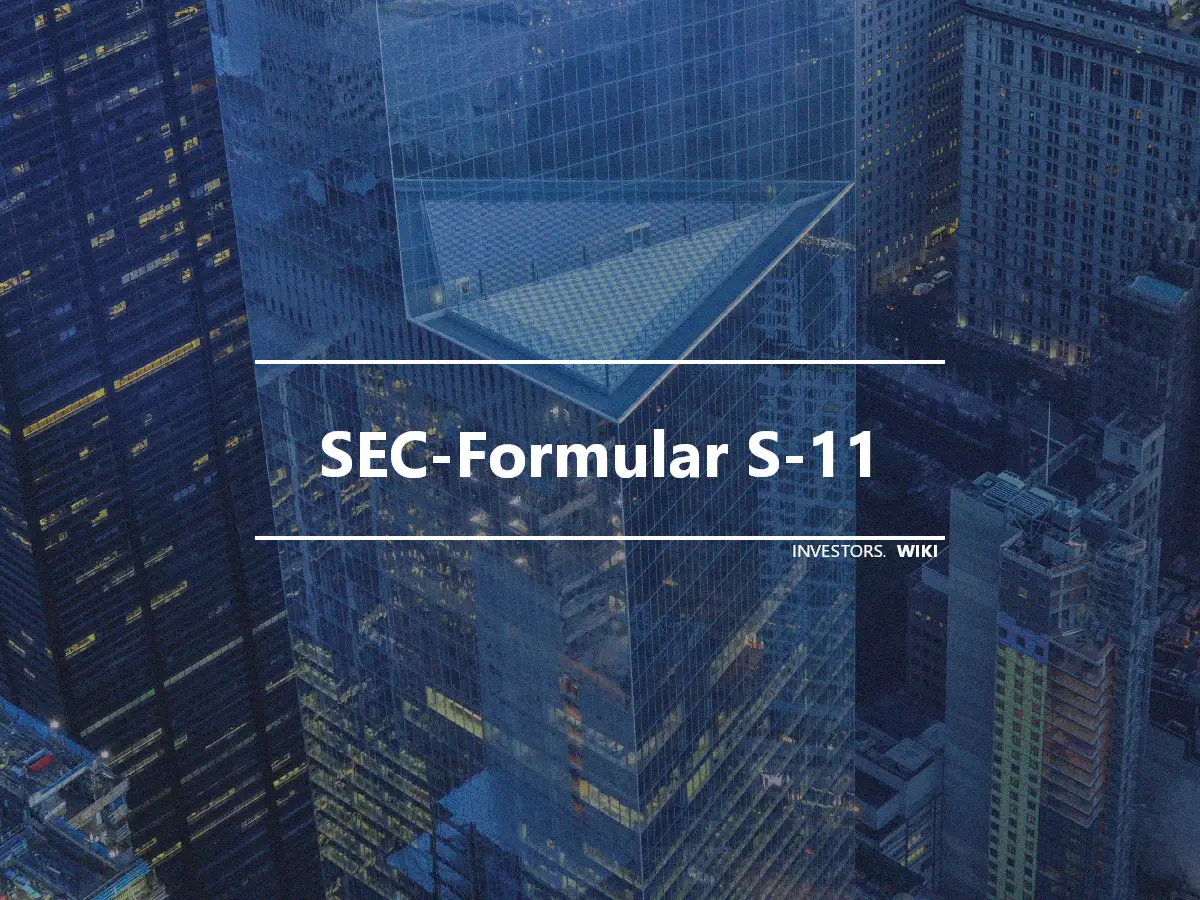 SEC-Formular S-11