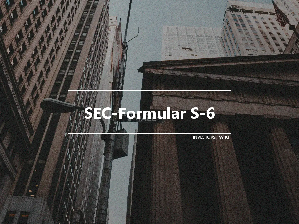 SEC-Formular S-6