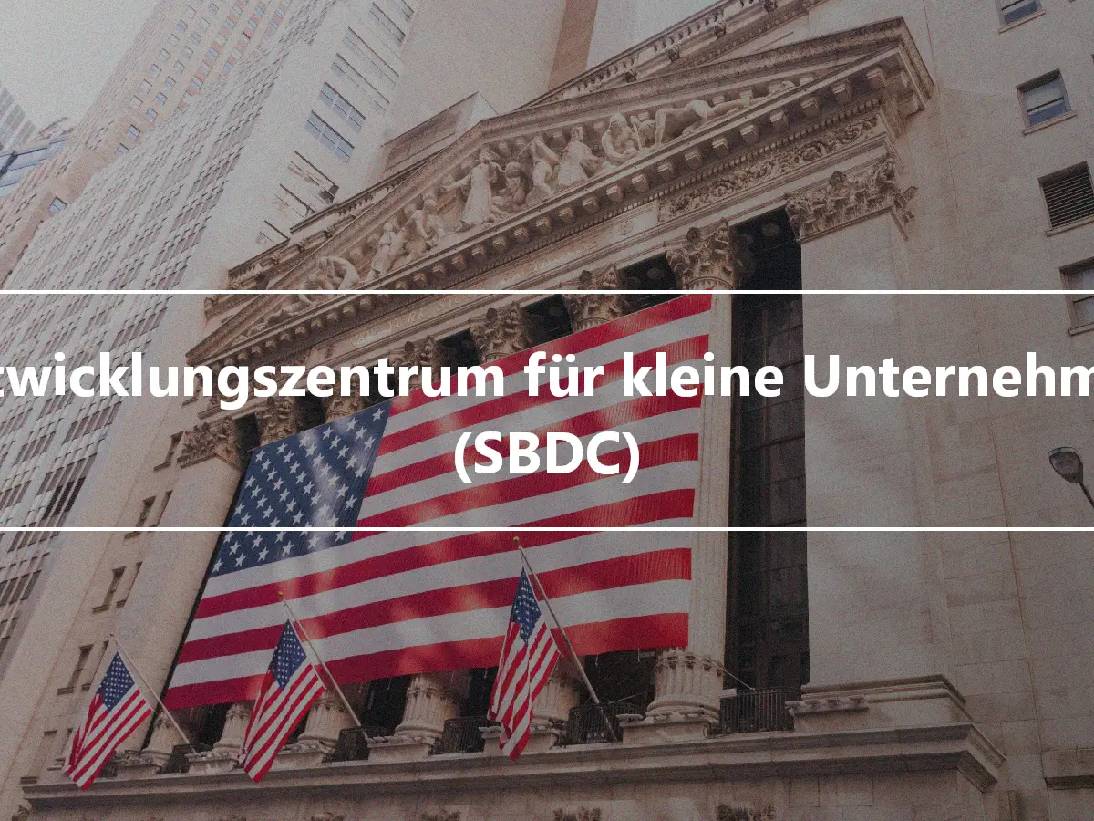 Entwicklungszentrum für kleine Unternehmen (SBDC)