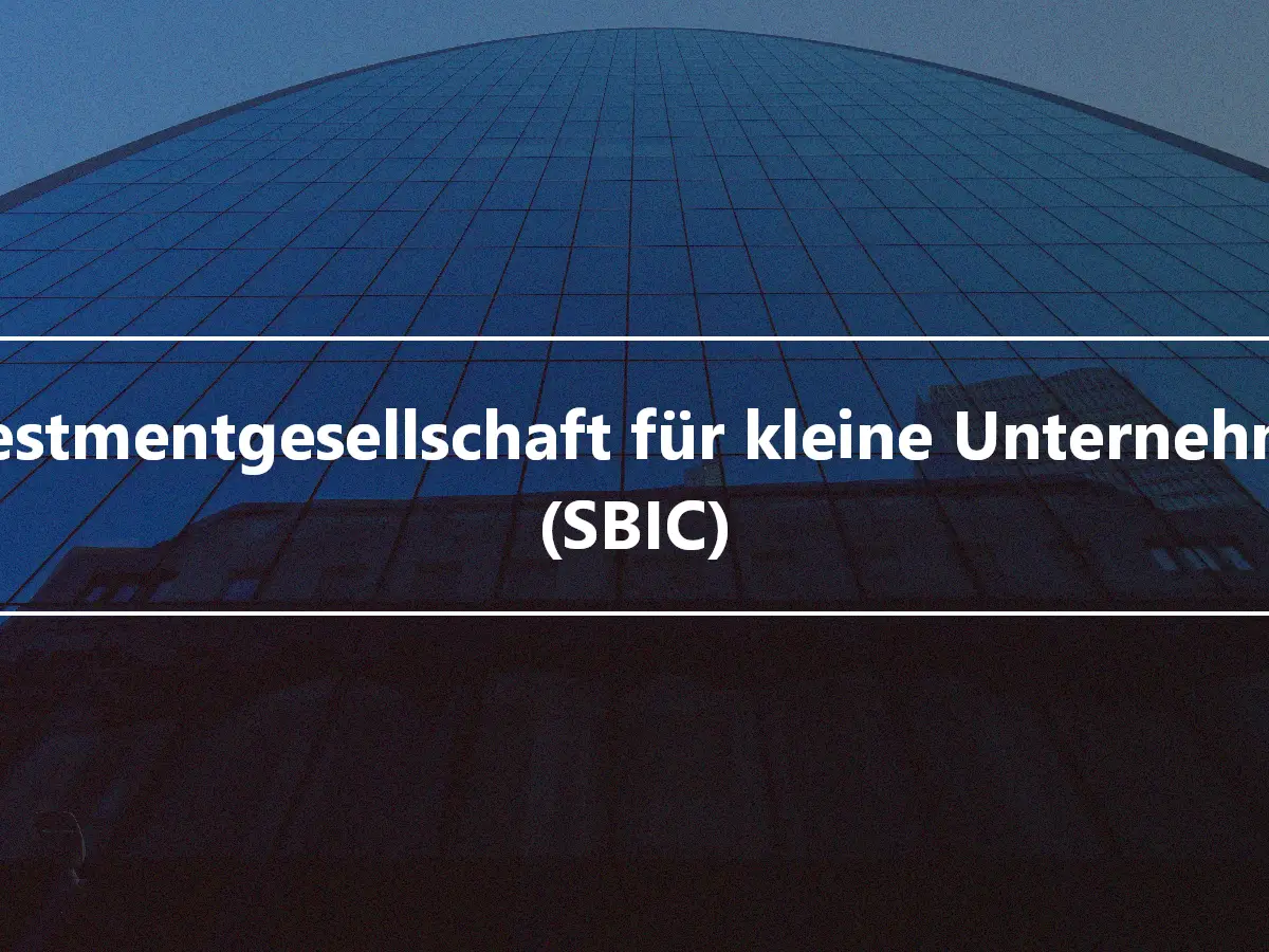 Investmentgesellschaft für kleine Unternehmen (SBIC)