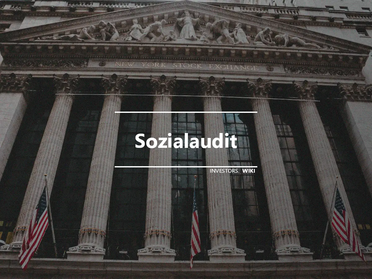 Sozialaudit