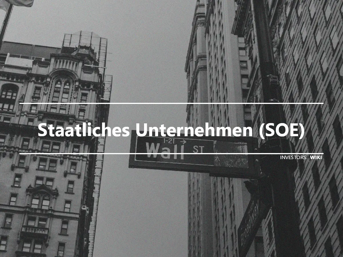 Staatliches Unternehmen (SOE)