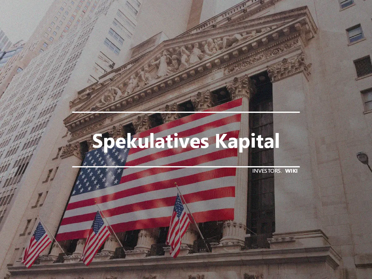 Spekulatives Kapital