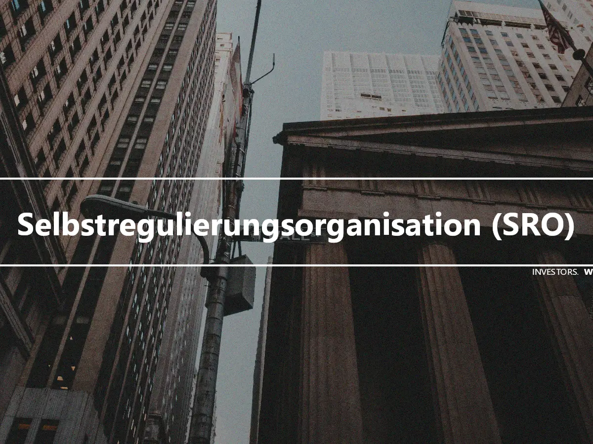 Selbstregulierungsorganisation (SRO)