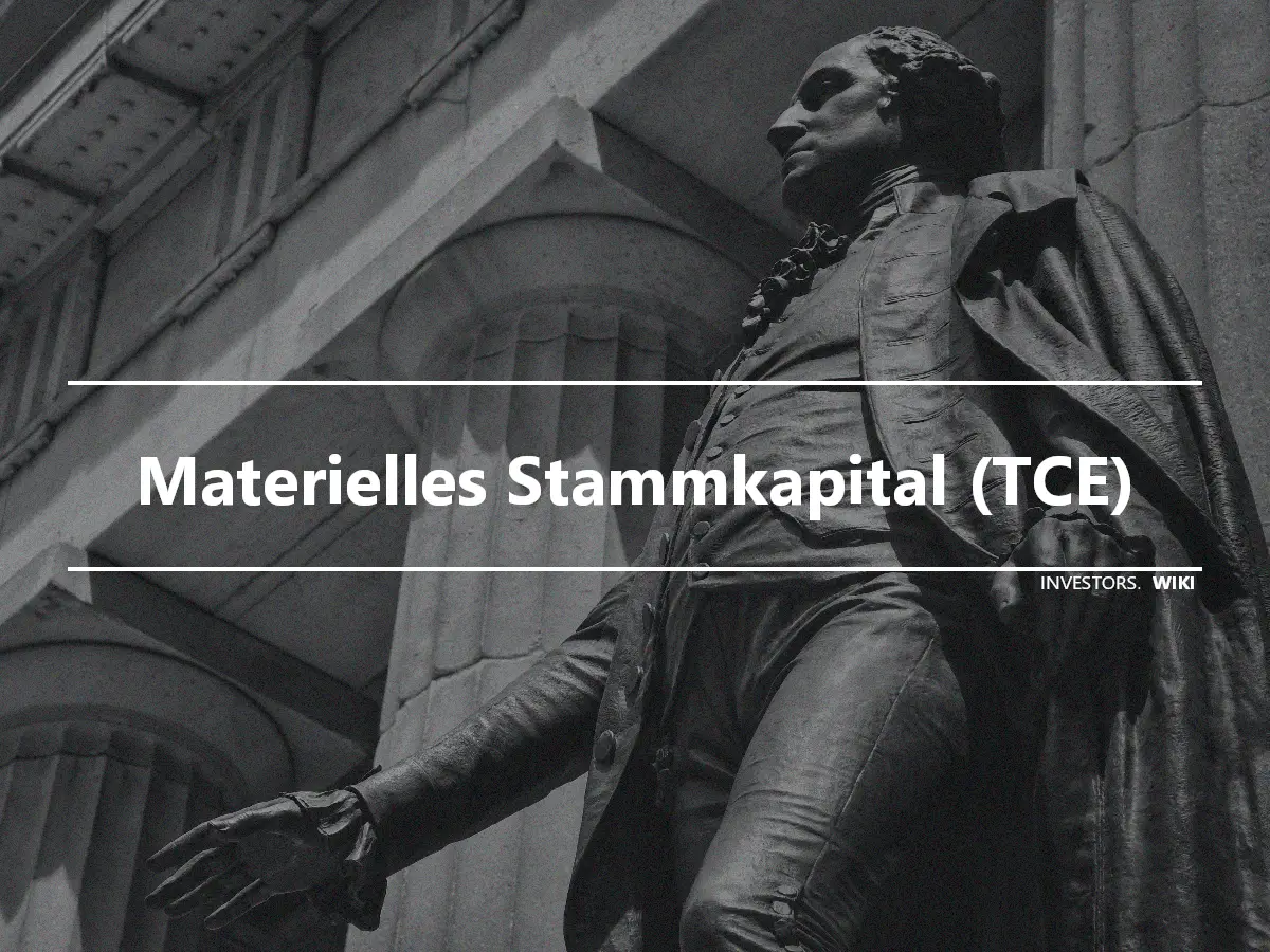 Materielles Stammkapital (TCE)