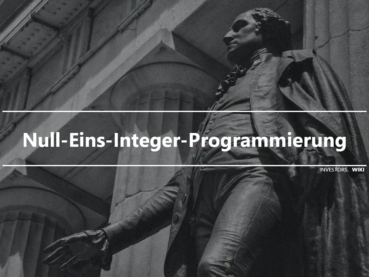 Null-Eins-Integer-Programmierung