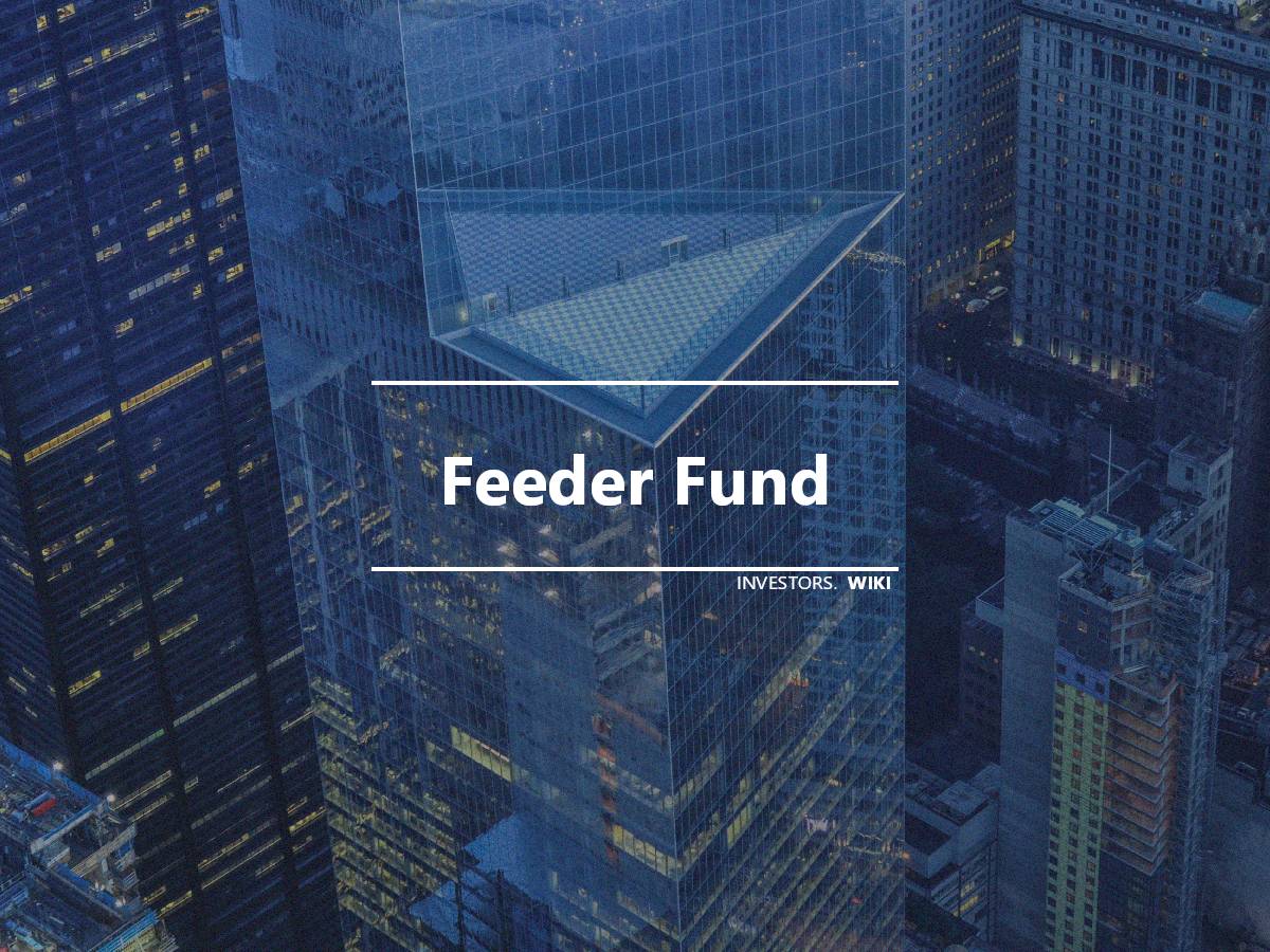 Feeder Fund Investor's wiki