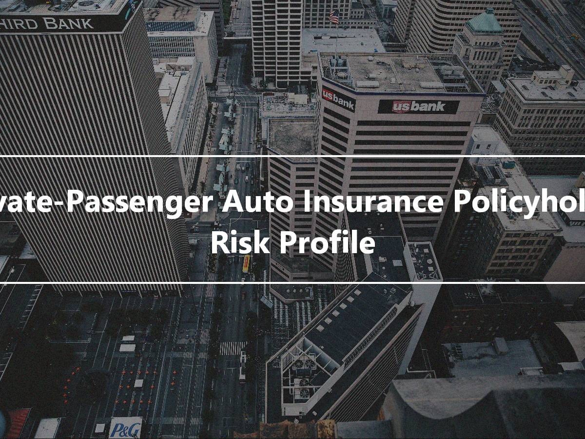 PrivatePassenger Auto Insurance Policyholder Risk Profile