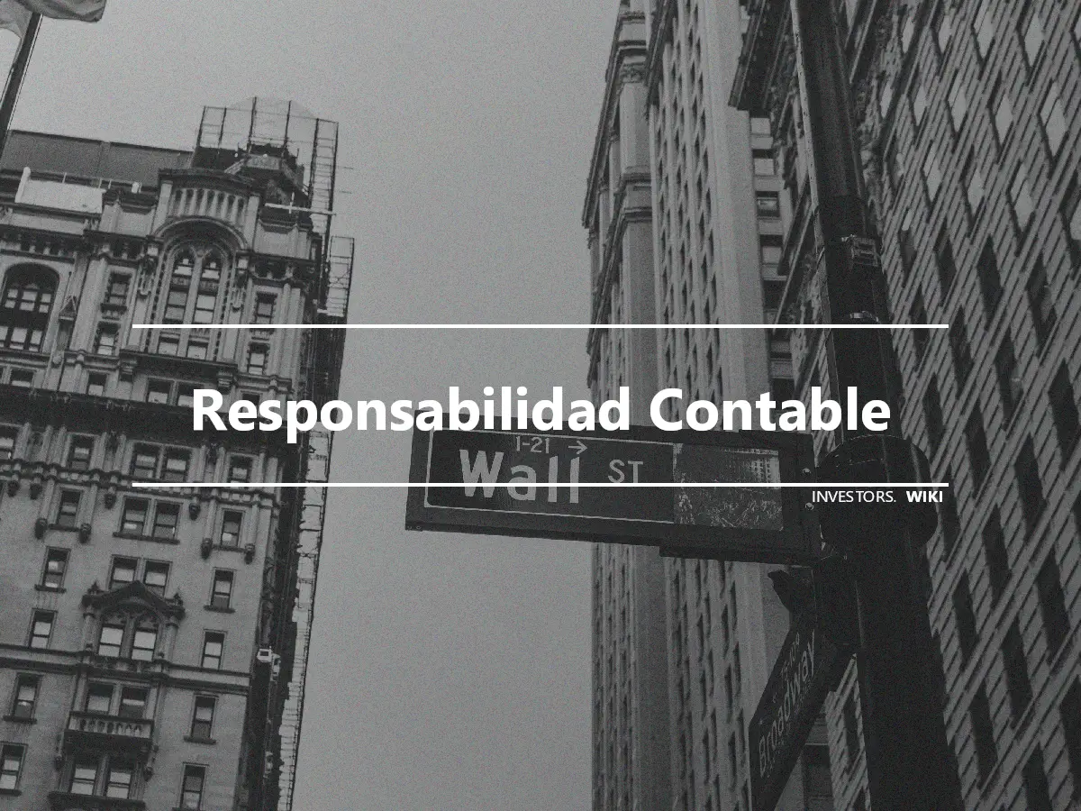 Responsabilidad Contable