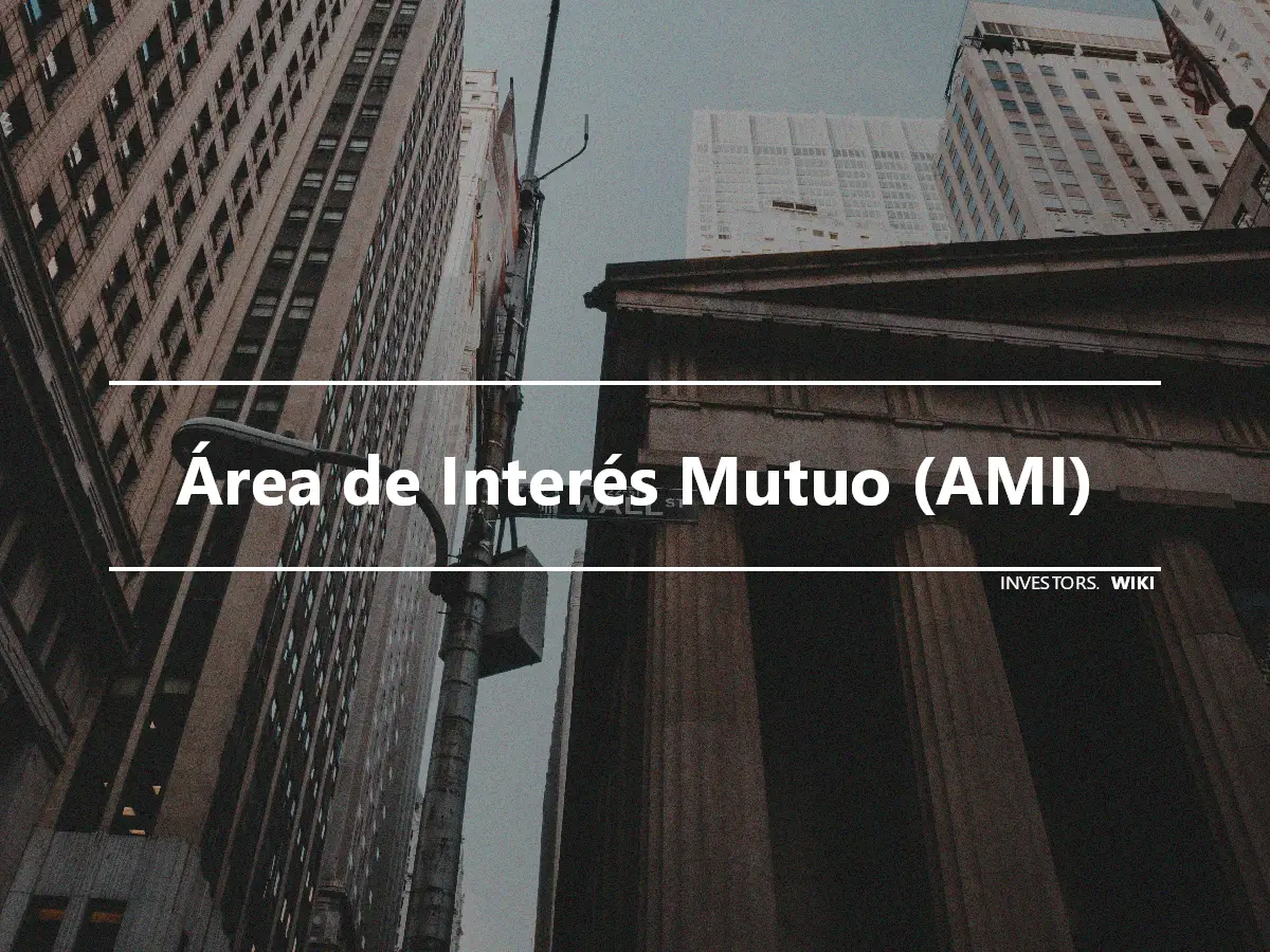 Área de Interés Mutuo (AMI)