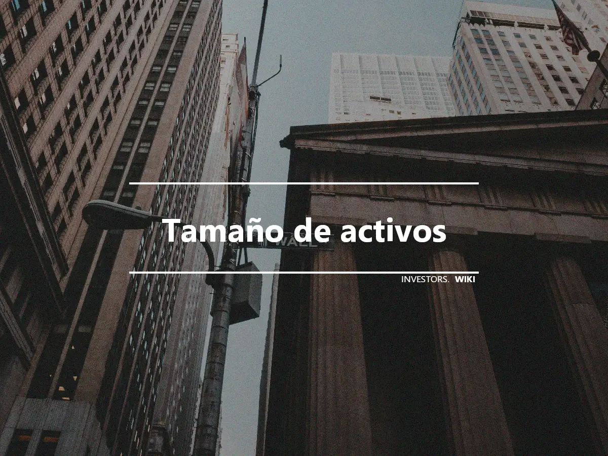 Tamaño de activos