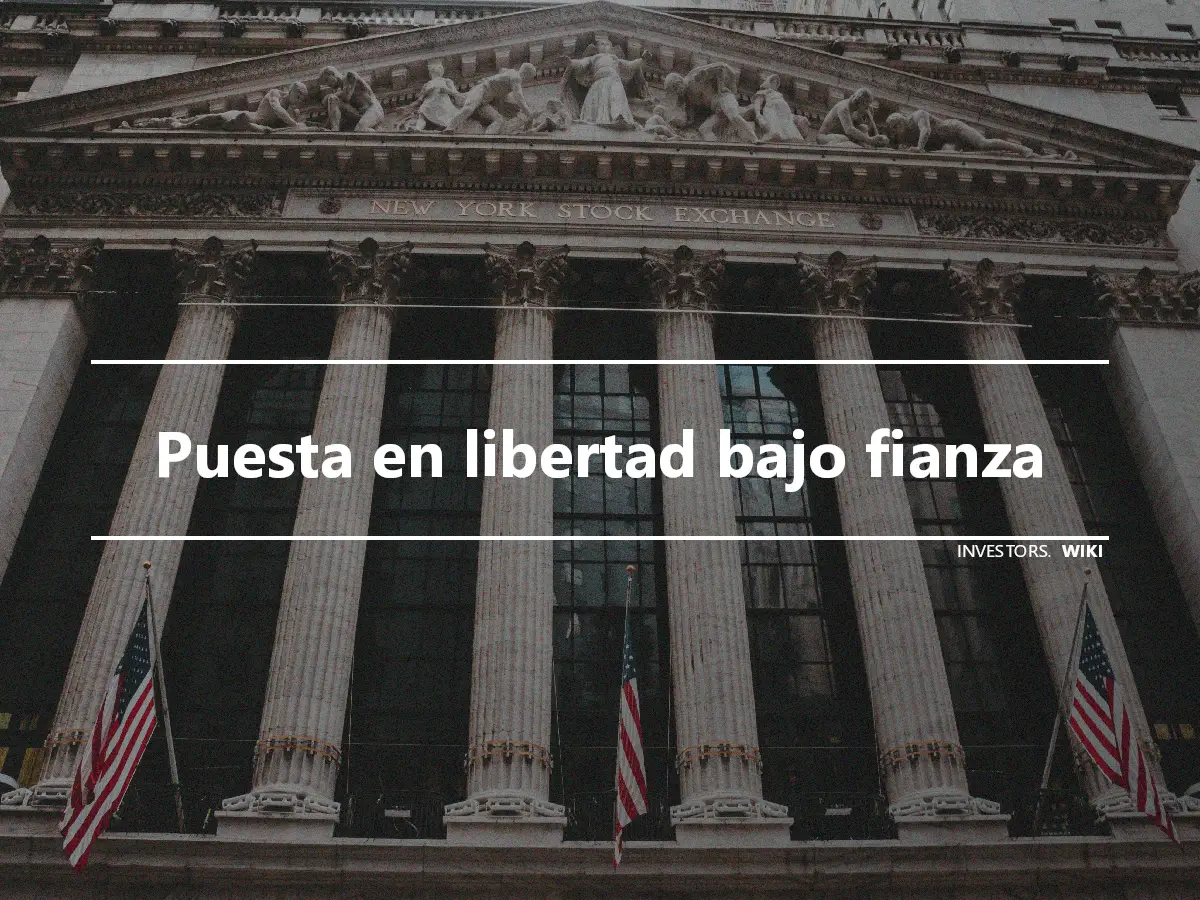 Puesta en libertad bajo fianza