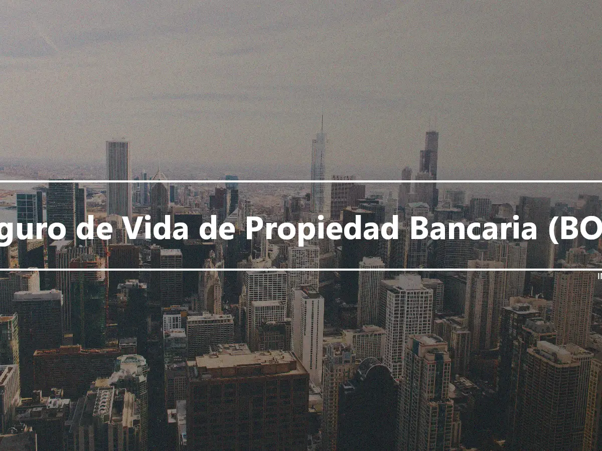 Seguro de Vida de Propiedad Bancaria (BOLI)