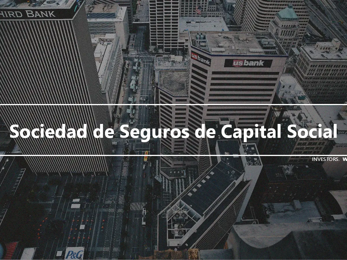 Sociedad de Seguros de Capital Social