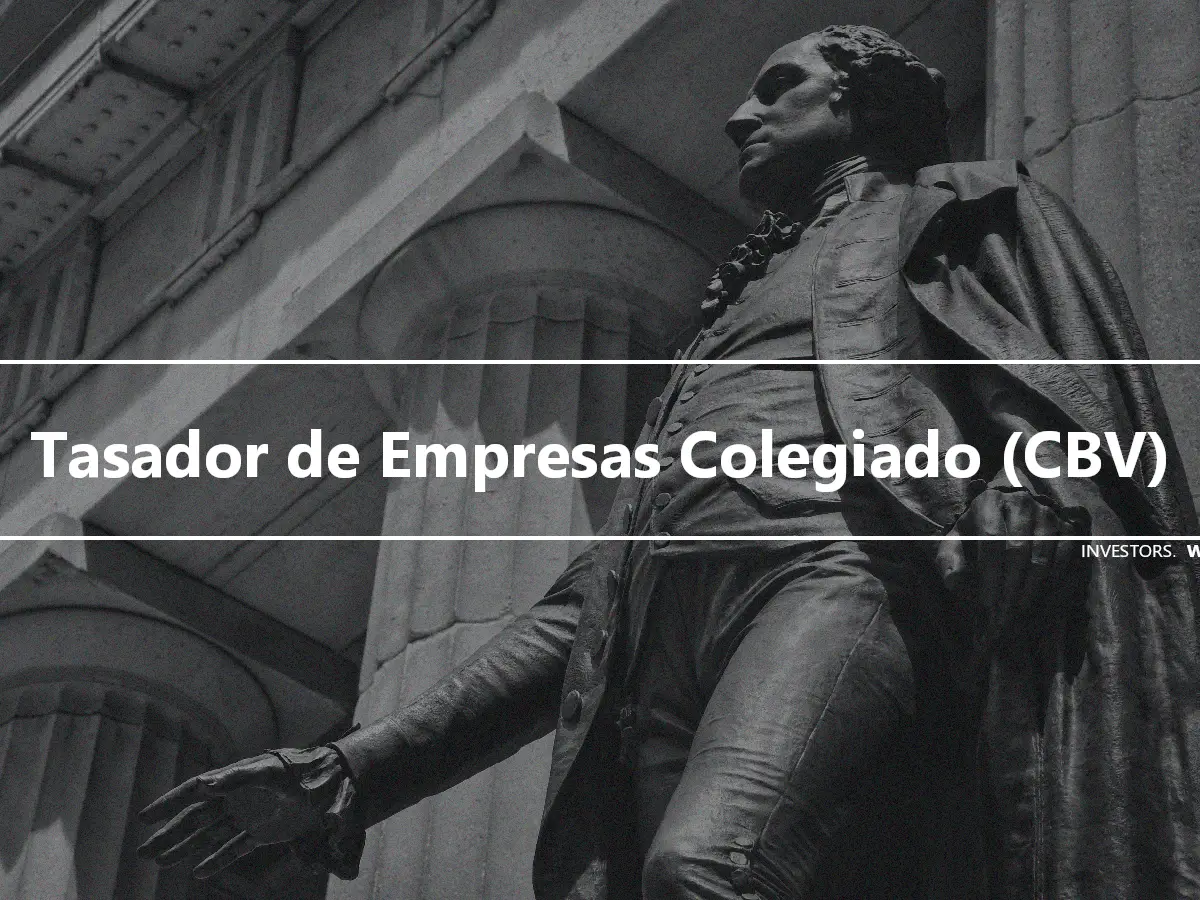 Tasador de Empresas Colegiado (CBV)