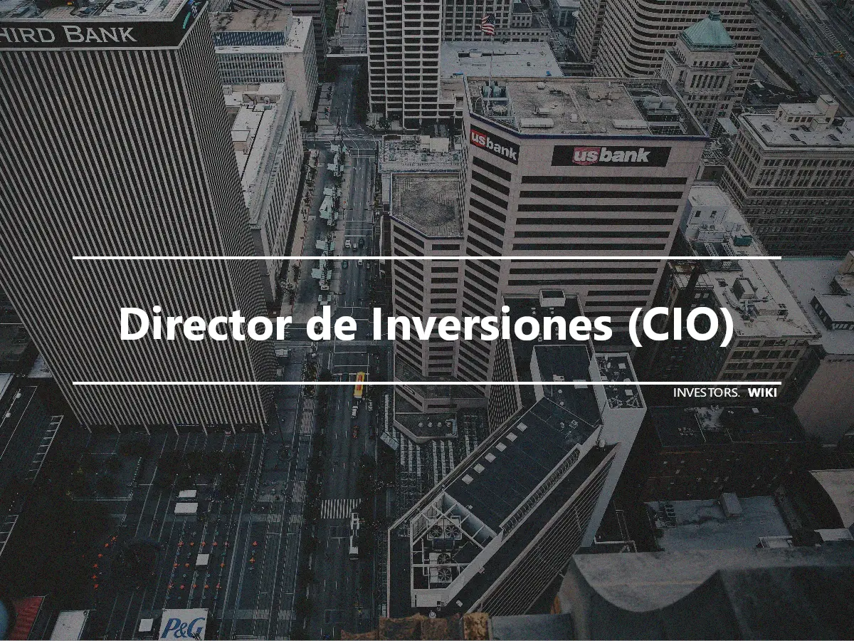 Director de Inversiones (CIO)