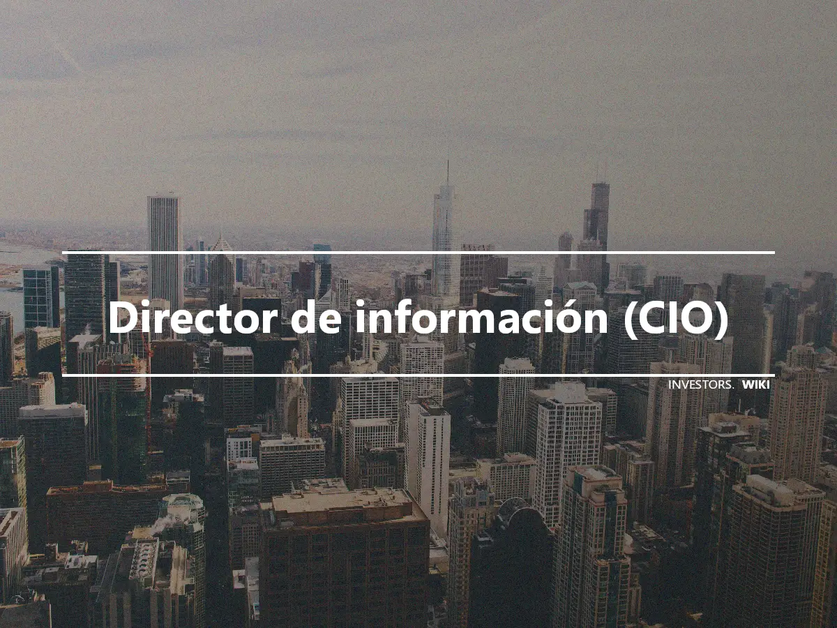 Director de información (CIO)