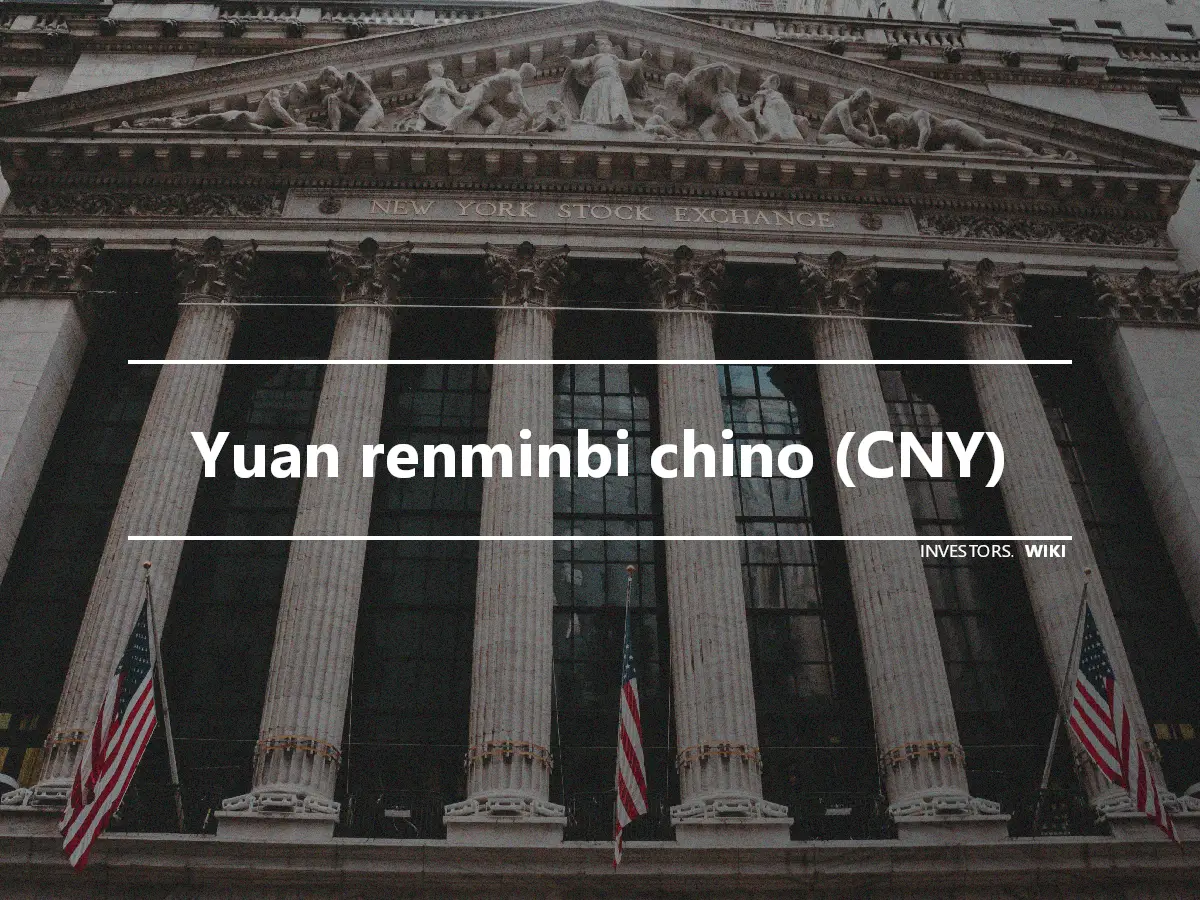Yuan renminbi chino (CNY)