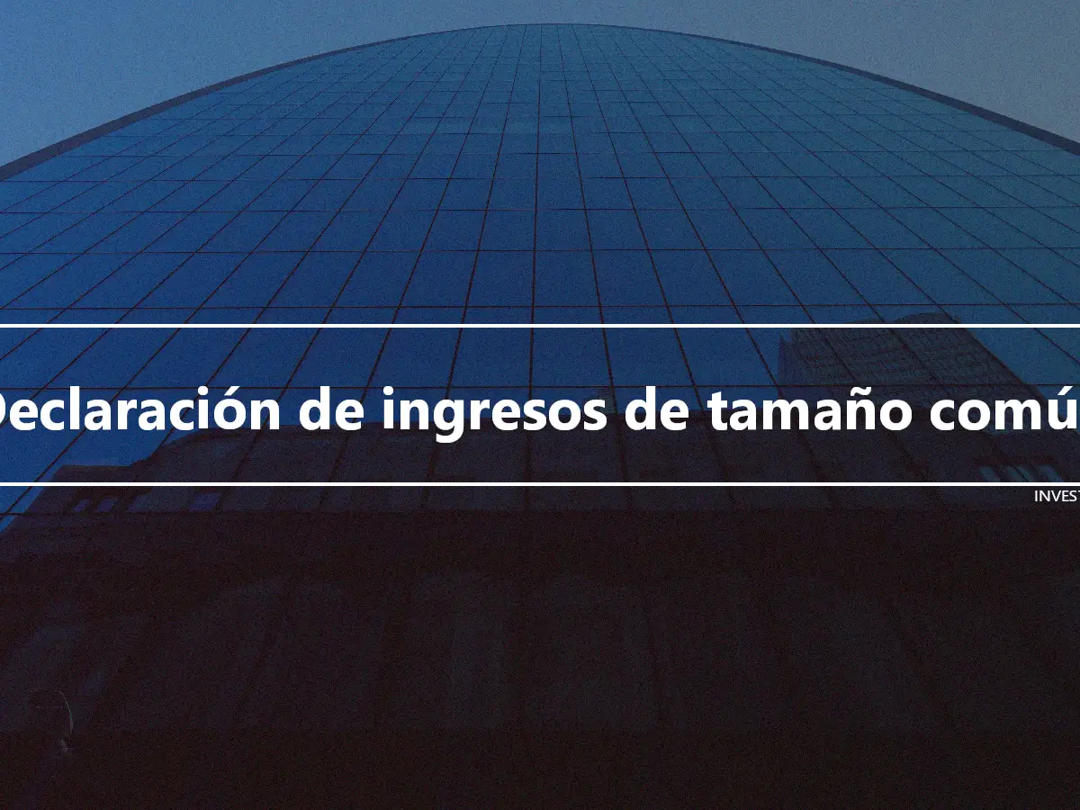 Declaración de ingresos de tamaño común