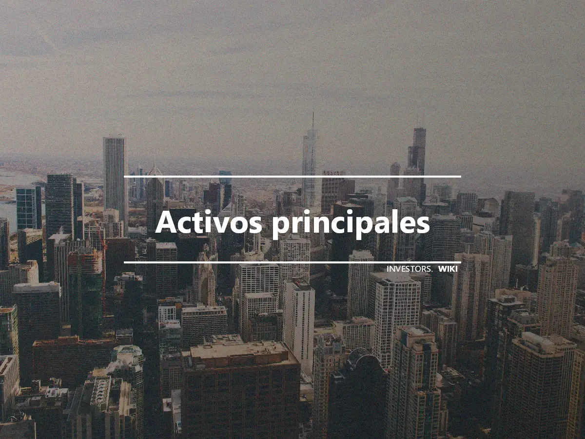 Activos principales