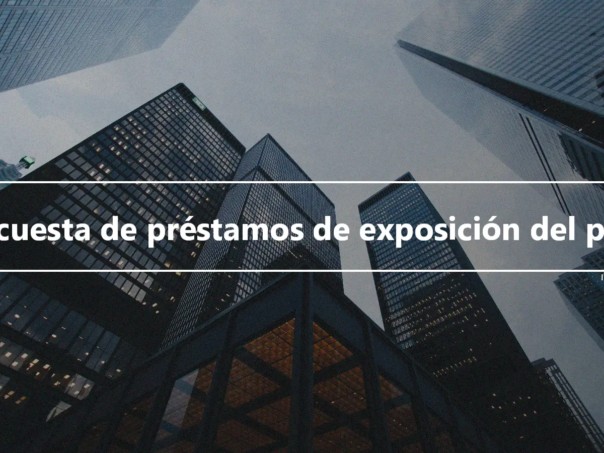 Encuesta de préstamos de exposición del país