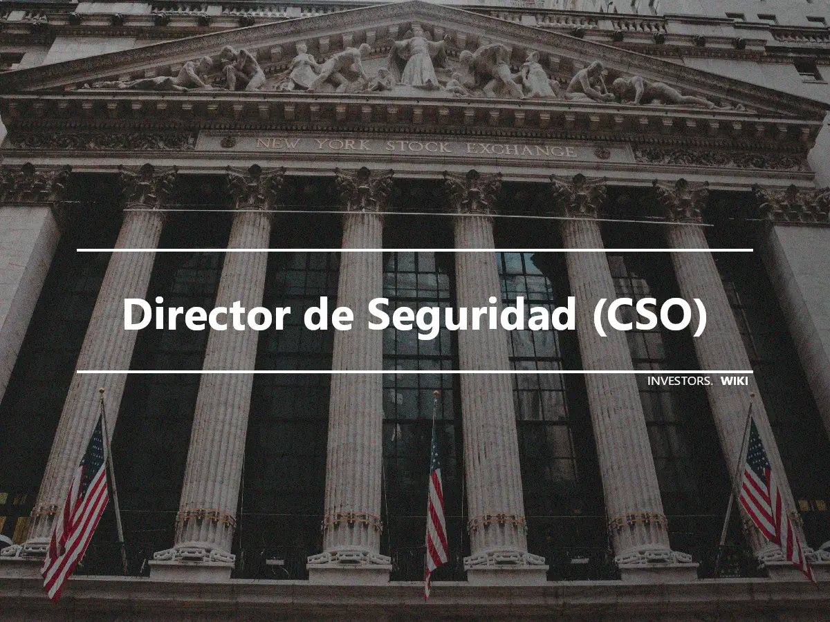 Director de Seguridad (CSO)
