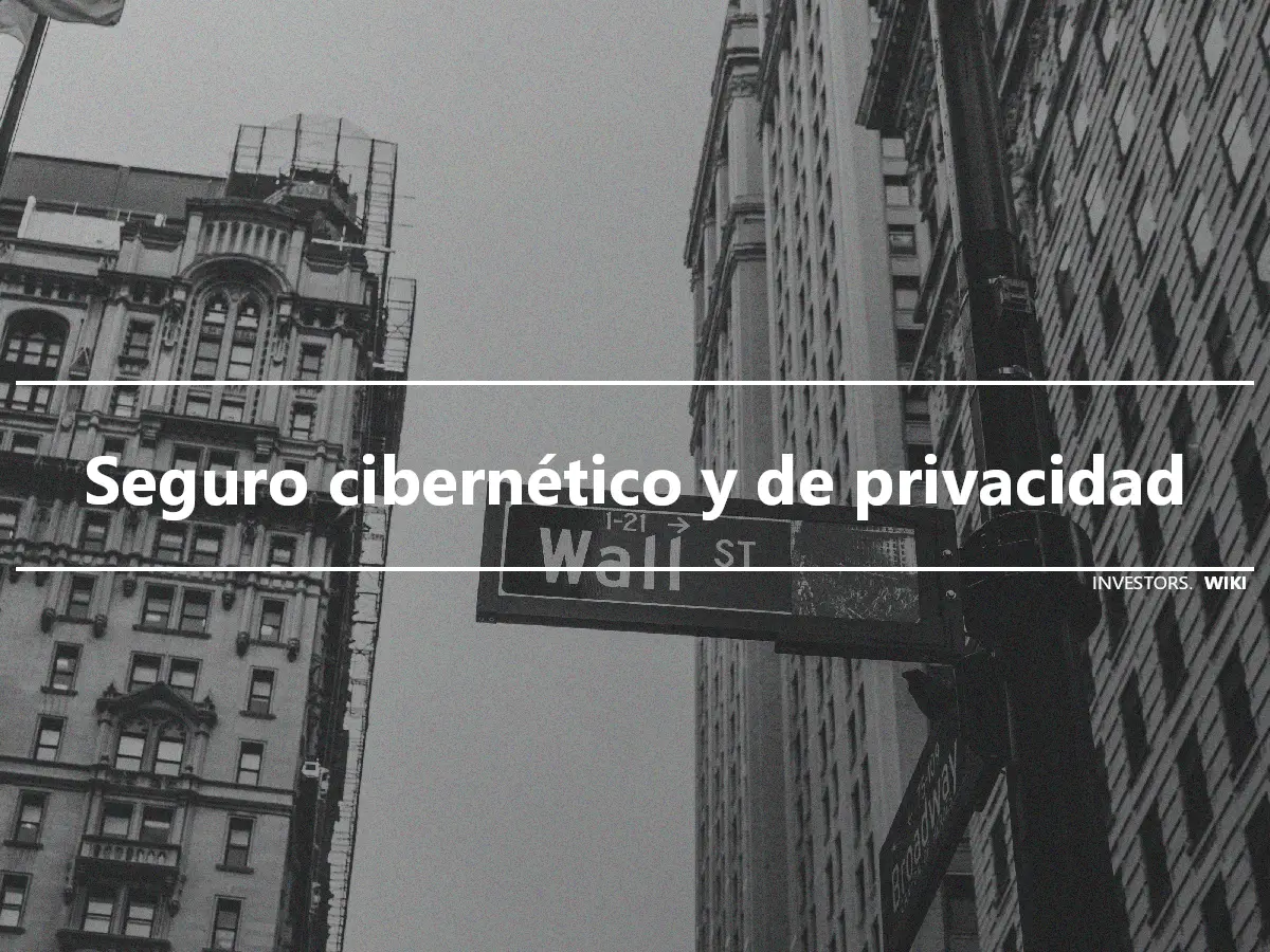 Seguro cibernético y de privacidad