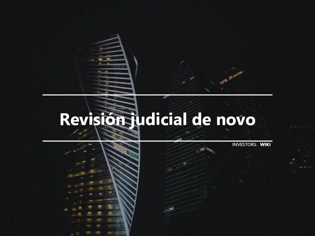 Revisión judicial de novo