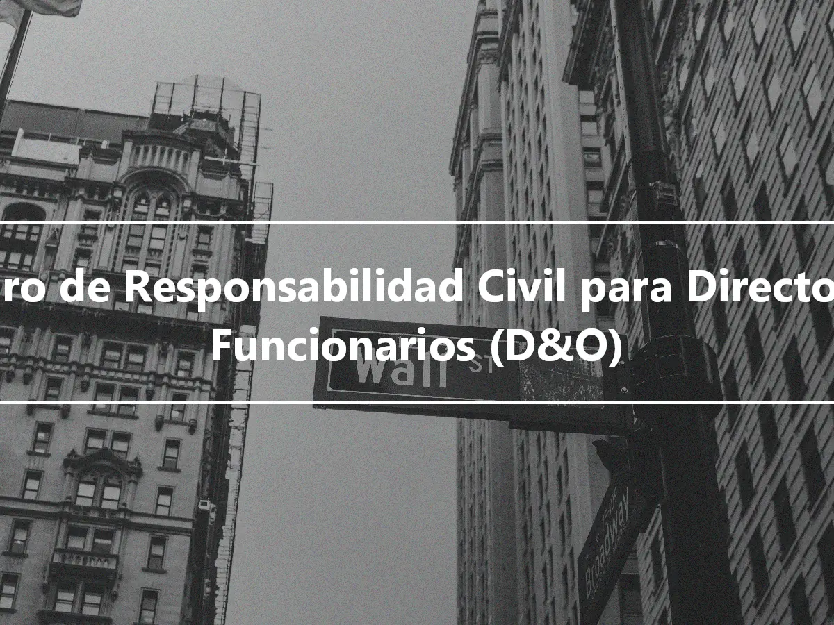 Seguro de Responsabilidad Civil para Directores y Funcionarios (D&O)