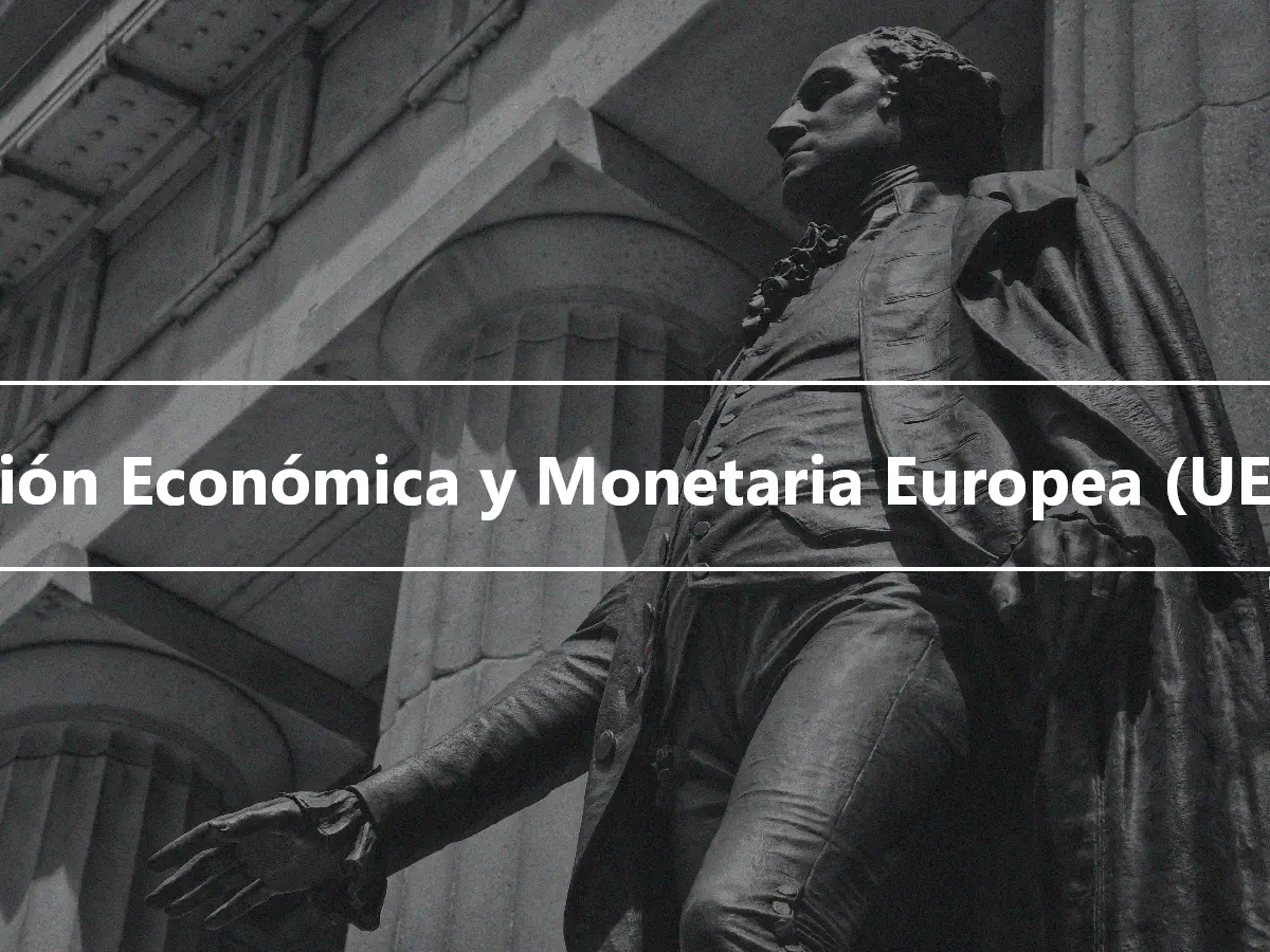 Unión Económica y Monetaria Europea (UEM)