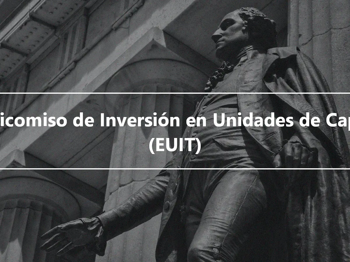 Fideicomiso de Inversión en Unidades de Capital (EUIT)