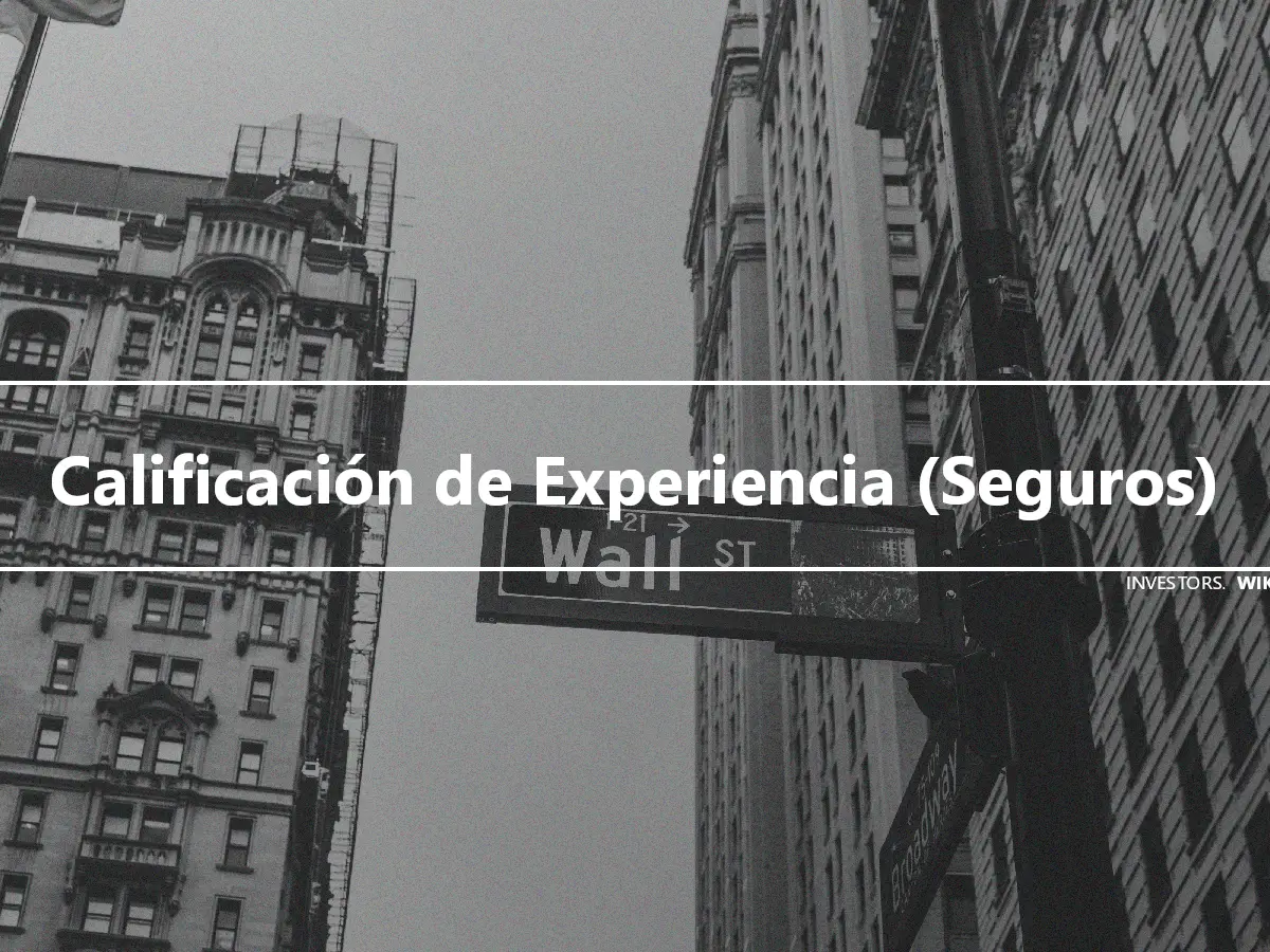 Calificación de Experiencia (Seguros)