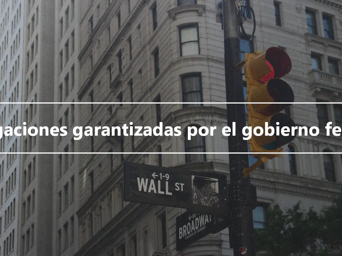 Obligaciones garantizadas por el gobierno federal